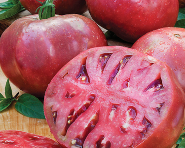 Cherokee Purple Tomato Seeds